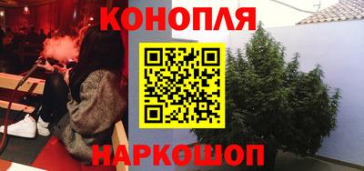 сатива Рязань