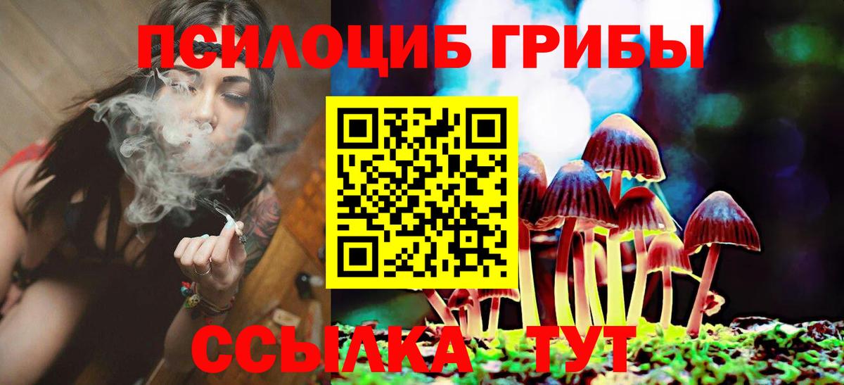 Галлюциногенные грибы Magic Shrooms Подольск